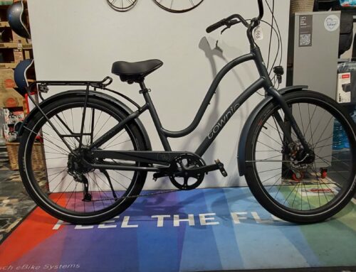 Electra Townie Path 9D